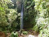 ECUADOR - Foresta Amazzonica - 21